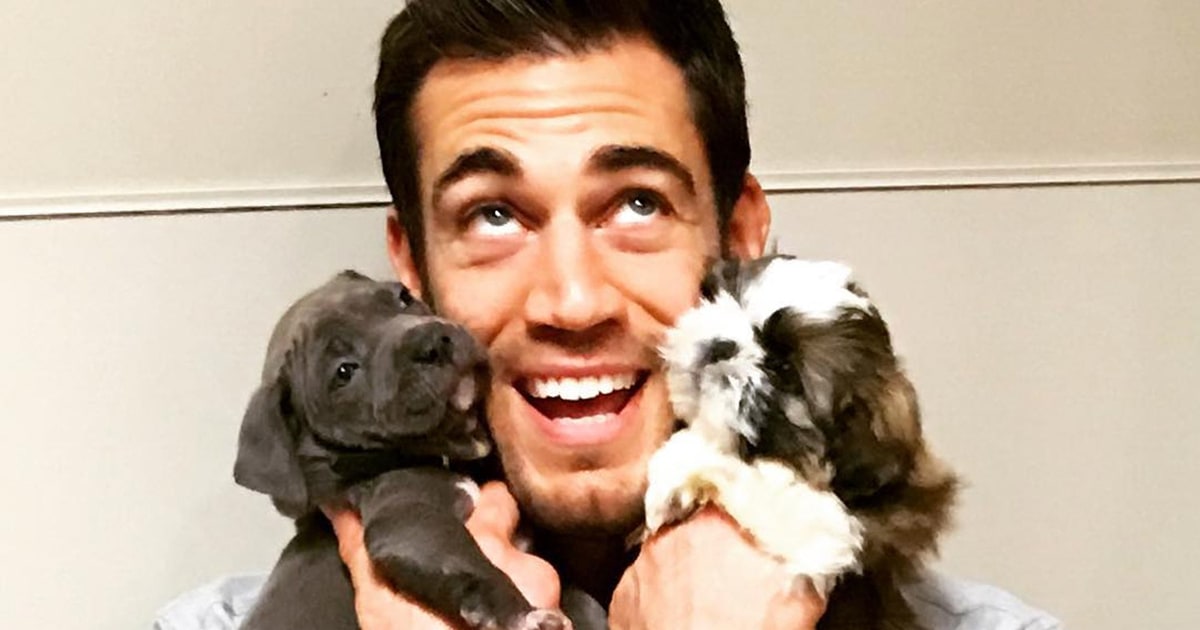 Hot Veterinarian Dr. Evan Antin Is the Newest Sensation(01)