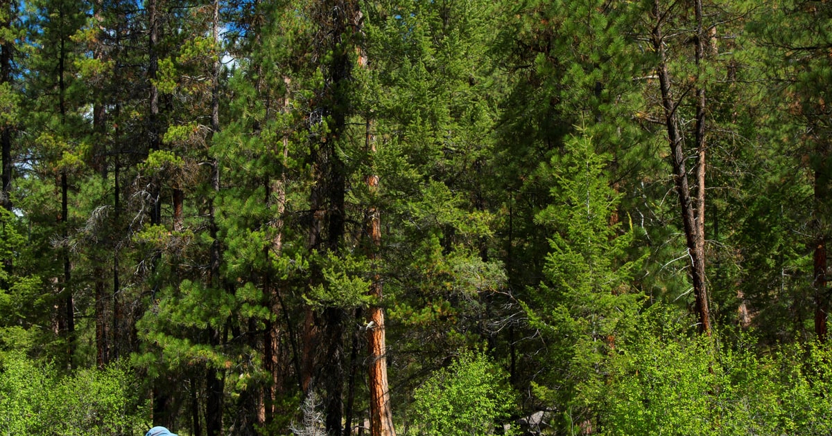Public Land For Sale! Here Are Some of the 3.3 Million ...