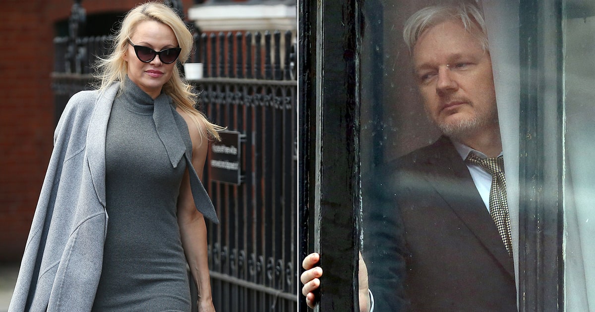 Image result for pamela anderson assange