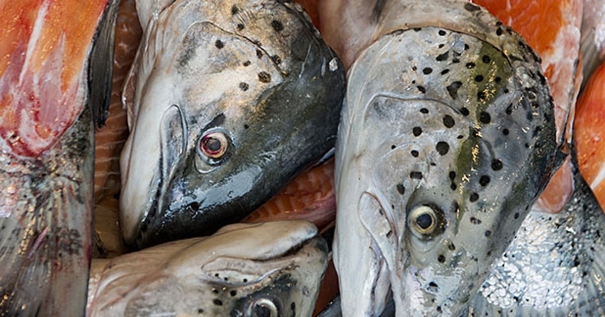 Ask a Chef How to Cook and Eat Fish Heads Men's Journal
