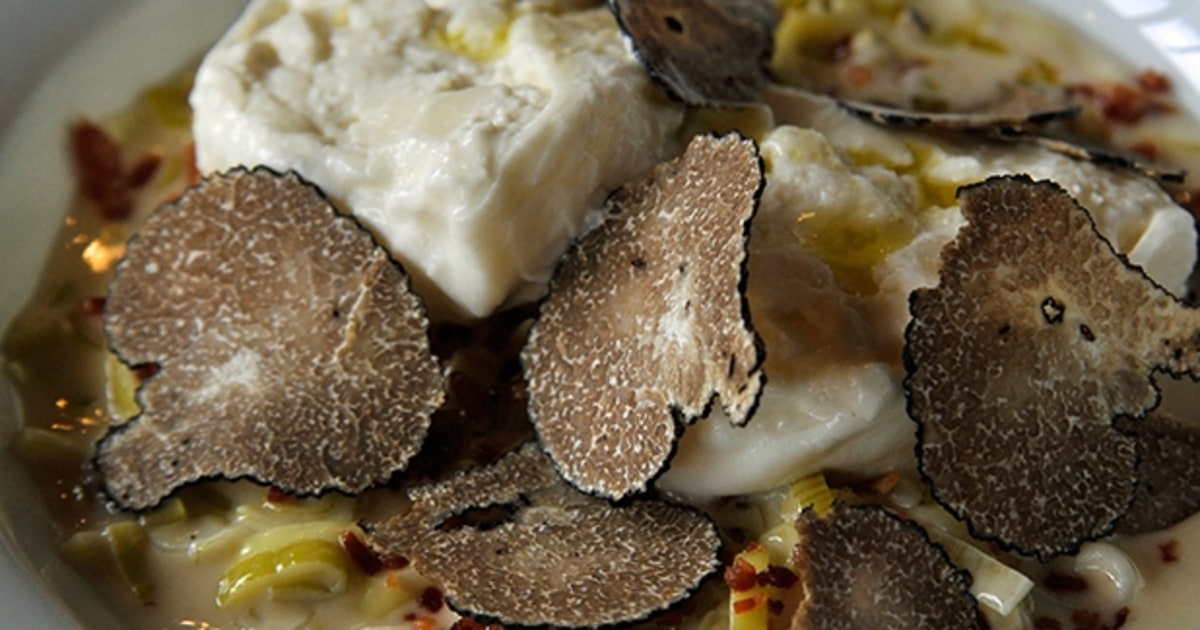 Black Truffle Burrata with Butter Braised Leeks It's Truffle Season