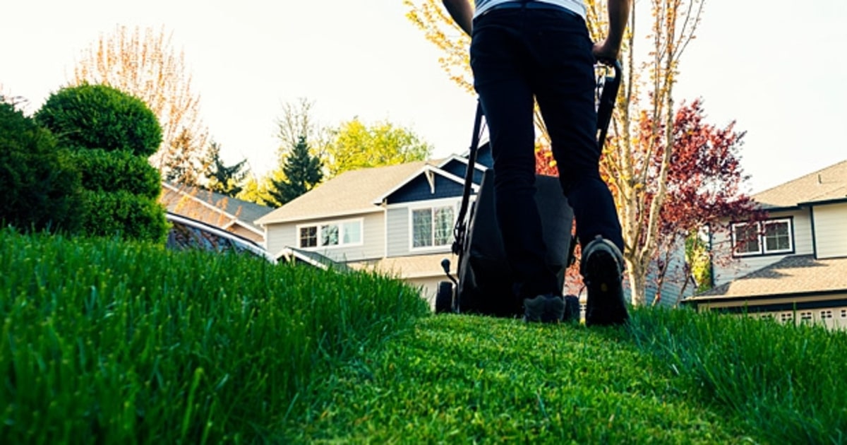 How to Get a More Sustainable, Greener Lawn Men's Journal