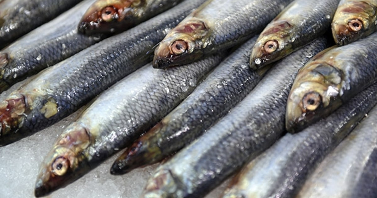 How to Cook Sardines Men's Journal