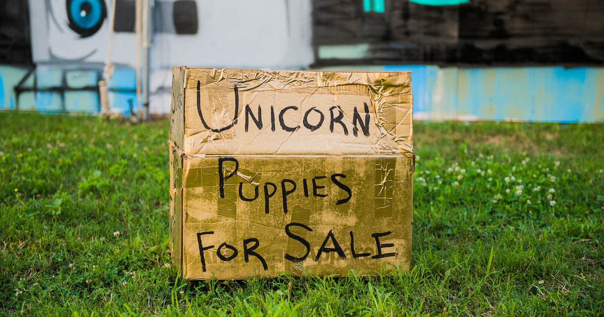 Best Mystery Box "Unicorn Puppies for Sale" 45 Best Things We Saw at