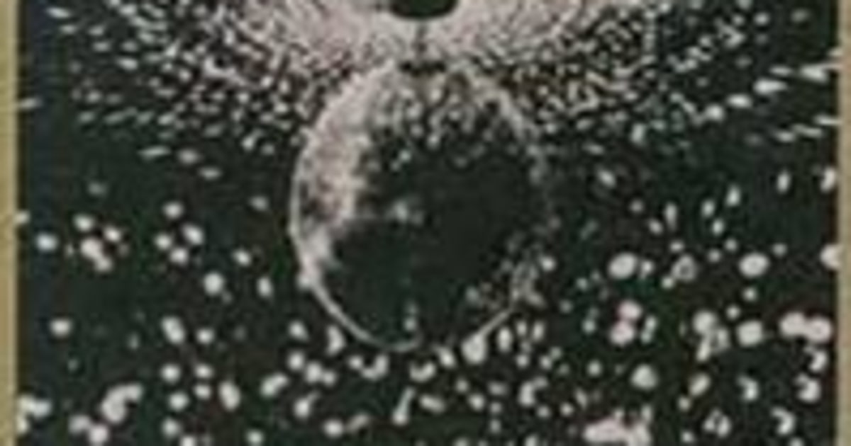 Album Review Neil Young, 'Mirror Ball' Rolling Stone