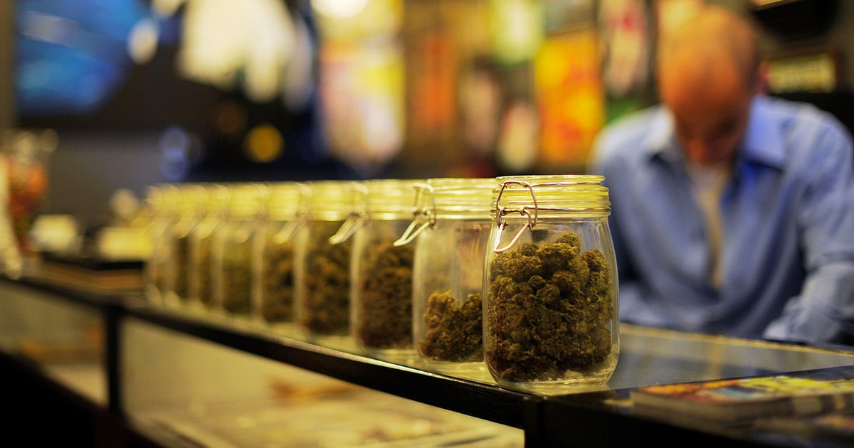 Great California Weed Rush Medical Marijuana in Los Angeles Rolling