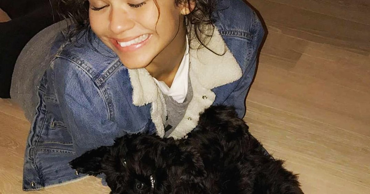 Zendaya's Dog Has a Better Life Than Us: Watch! - Us Weekly