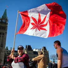What Pot Legalization in Canada Means for the U.S.