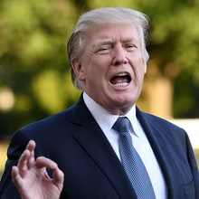 Sports World Responds To Donald Trump: Everything You Need to Know