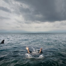 What To Do If You're Attacked By A Shark