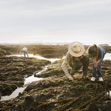 Why Outsourcing National Park Staff Would Be a Disaster