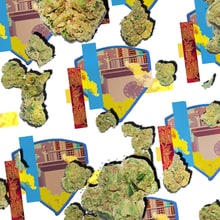 The Rolling Stone Guide to Legal Pot: Massachusetts