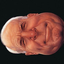 David Foster Wallace on John McCain: 'The Weasel, Twelve Monkeys and the Shrub'