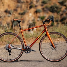 Specialized Merz Sequoia: A Purist's Road Bike